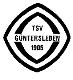 Avatar Bild für Gast-Ticker