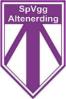 SpVgg Altenerding III