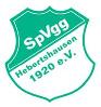 Vereinslogo