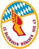 (SG) Bajuwaren/MSV 2