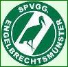 SpVgg Engelbrechtsmünster