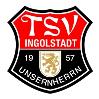 TSV Ing.-Unserh. 2