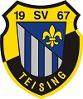 SV Teising
