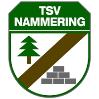Vereinslogo