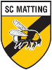 Vereinslogo