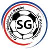 (SG) SpVgg Neukirchen-Balbini