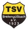 Vereinslogo