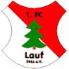 (SG1) 1. FC Lauf I/SV Zapfendorf II