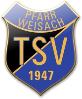 Vereinslogo