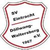 SV Eintr. Döllwang II zg.