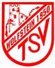 TSV Wolfstein IV