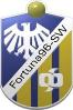 Vereinslogo