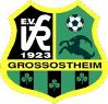 Vereinslogo